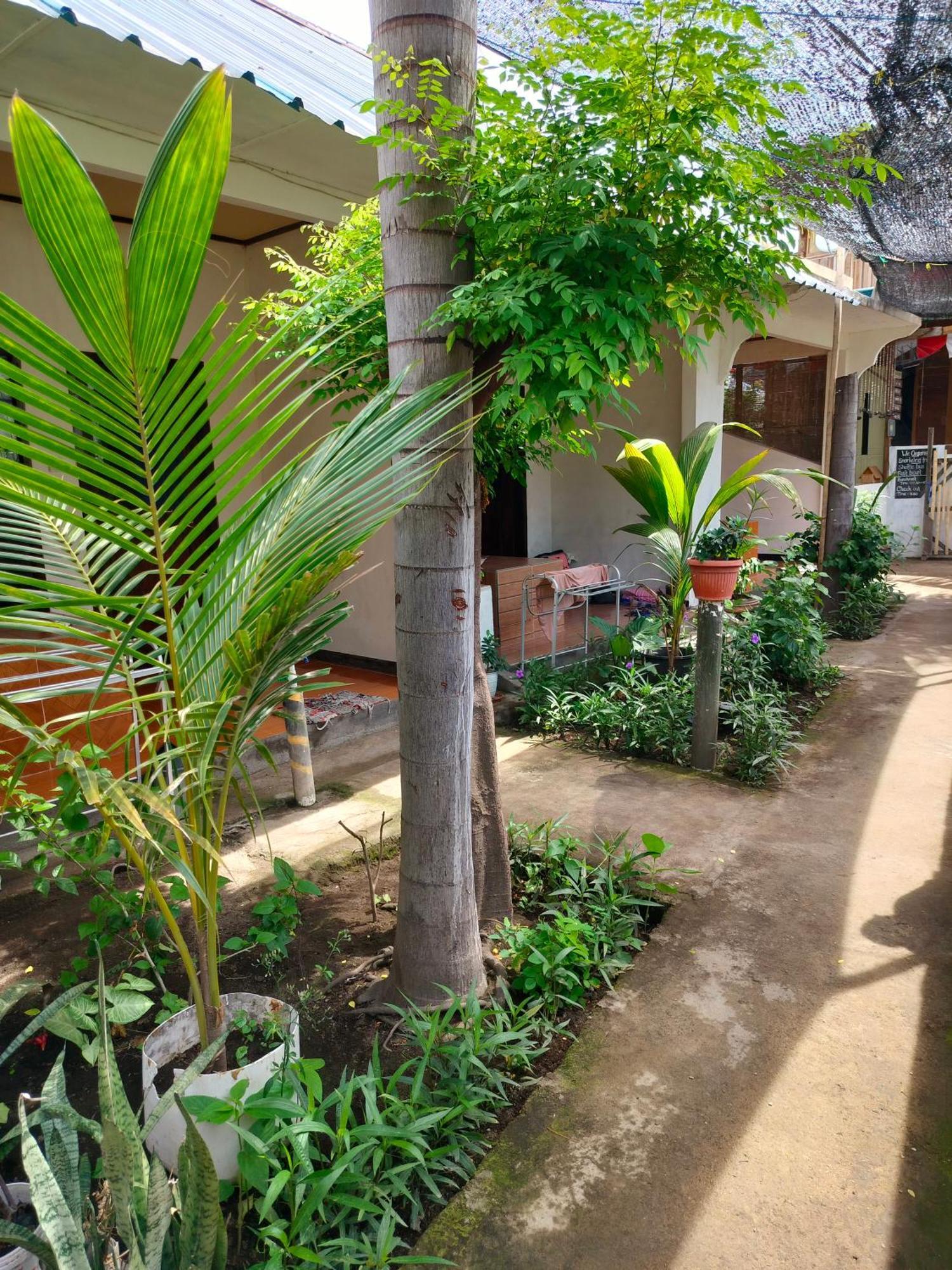 Aladdin Homestay Gili Air Exterior foto
